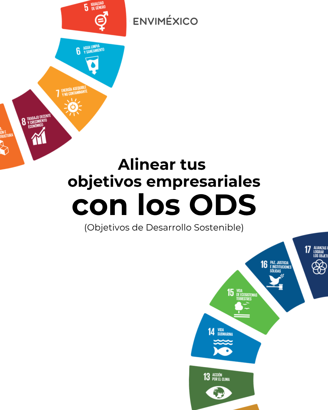Alinear mi empresa con los Objetivos de Desarrollo Sostenible 