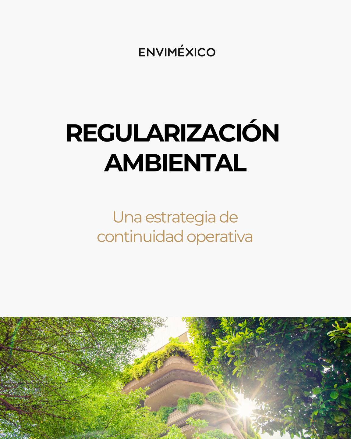 Regularización Ambiental ENVIMÉXICO